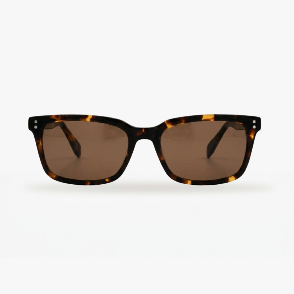Eclipse - Tortoise