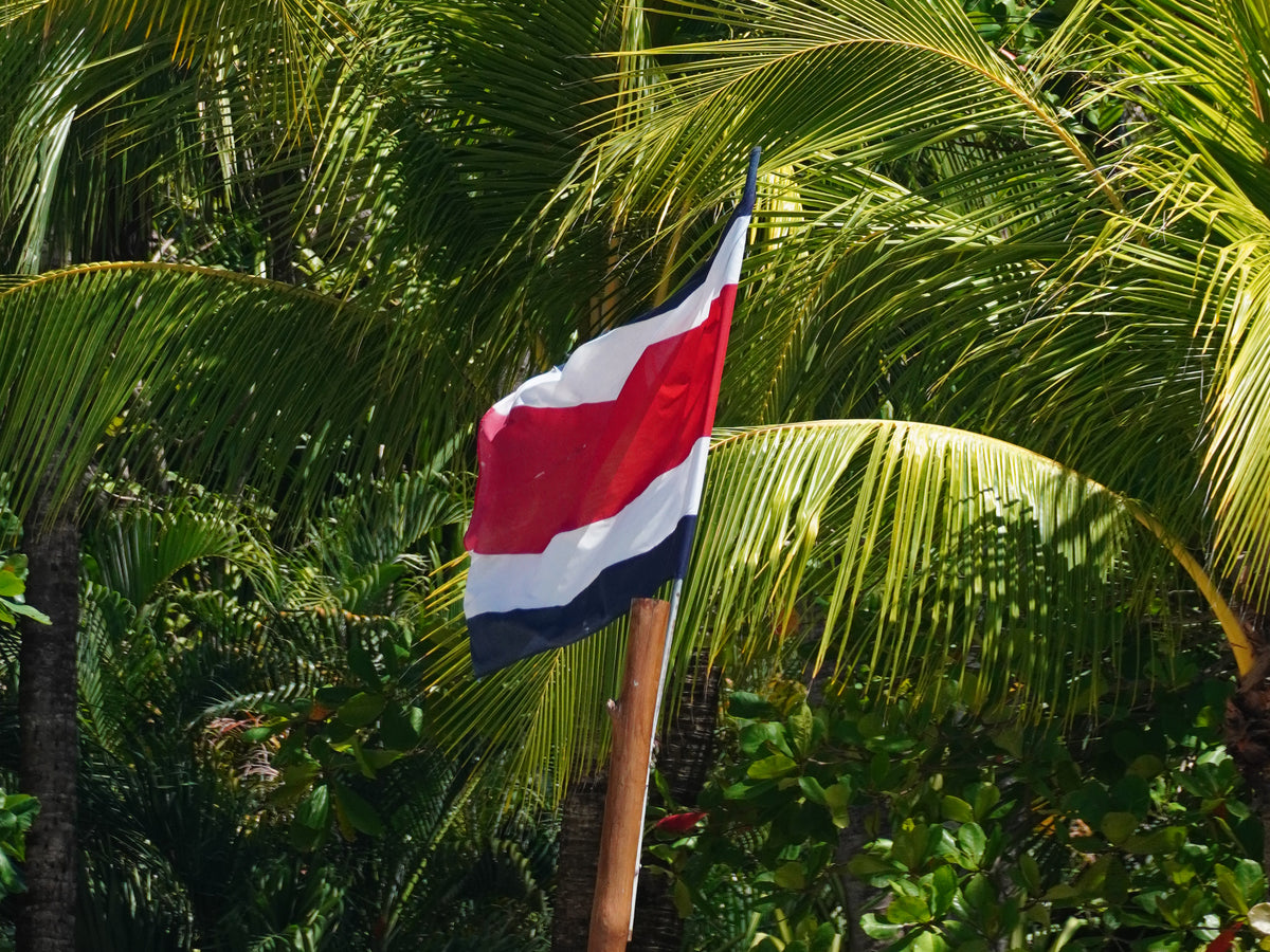 Our Costa Rica DNA